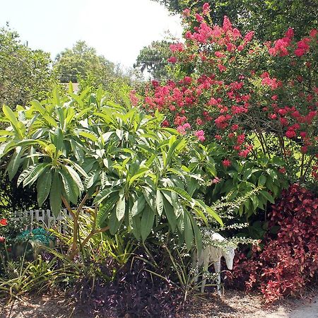 Heron Cay Lakeview Bed & Breakfast Mount Dora Esterno foto