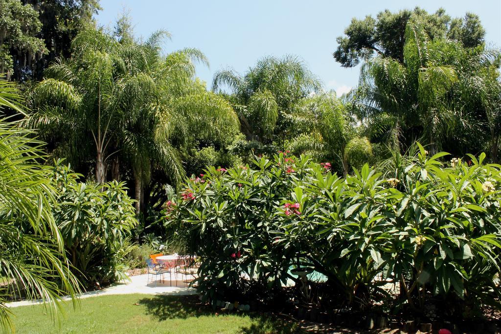 Heron Cay Lakeview Bed & Breakfast Mount Dora Esterno foto