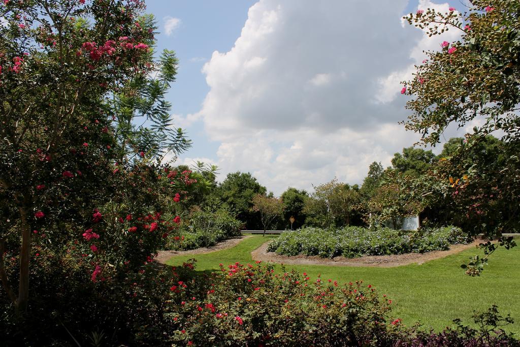 Heron Cay Lakeview Bed & Breakfast Mount Dora Esterno foto