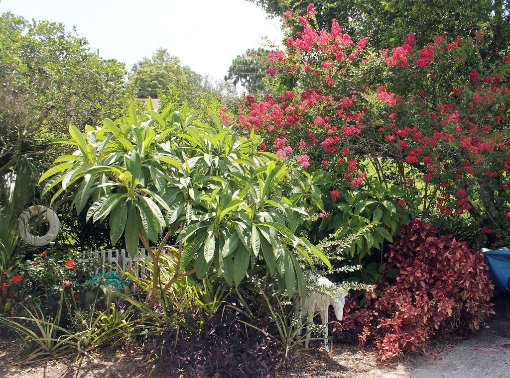 Heron Cay Lakeview Bed & Breakfast Mount Dora Esterno foto